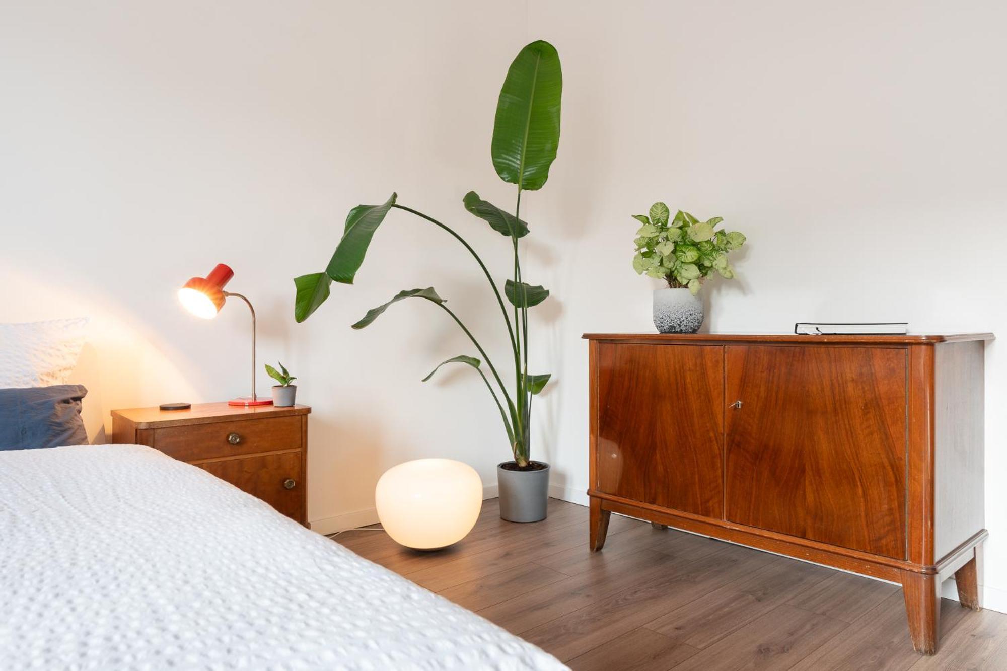 Luxurioeses Apartment, 10Min Innenstadt, Parkplatz Erfurt Exteriör bild
